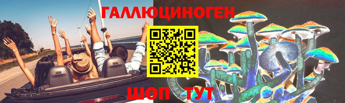 Заинск  Галлюциногенные грибы MAGIC MUSHROOMS  Галлюциногенные грибы Psilocybe  Вход с VPN 